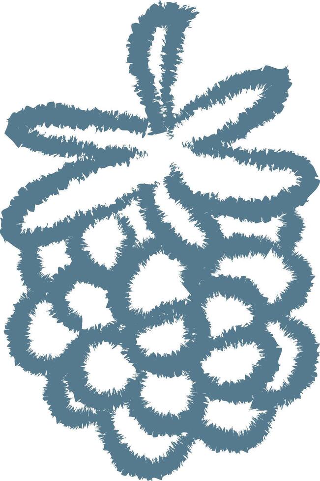 Textured Grapes with Leaf vector