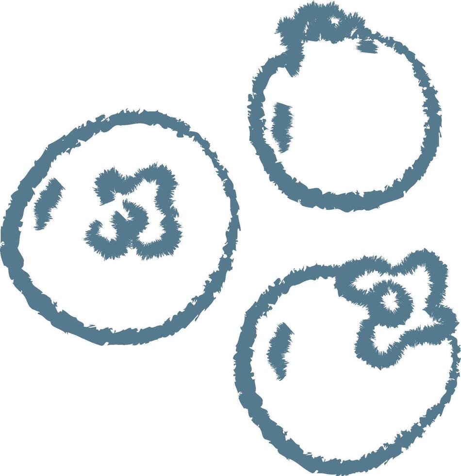 Sketchy Blueberry Trio vector