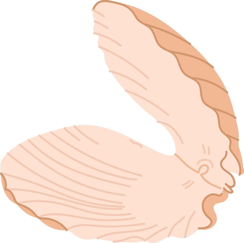 Open Clam Shell Design vector