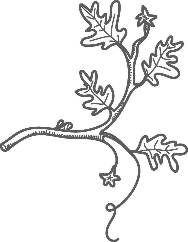 Leafy Vine with Curved Branch vector