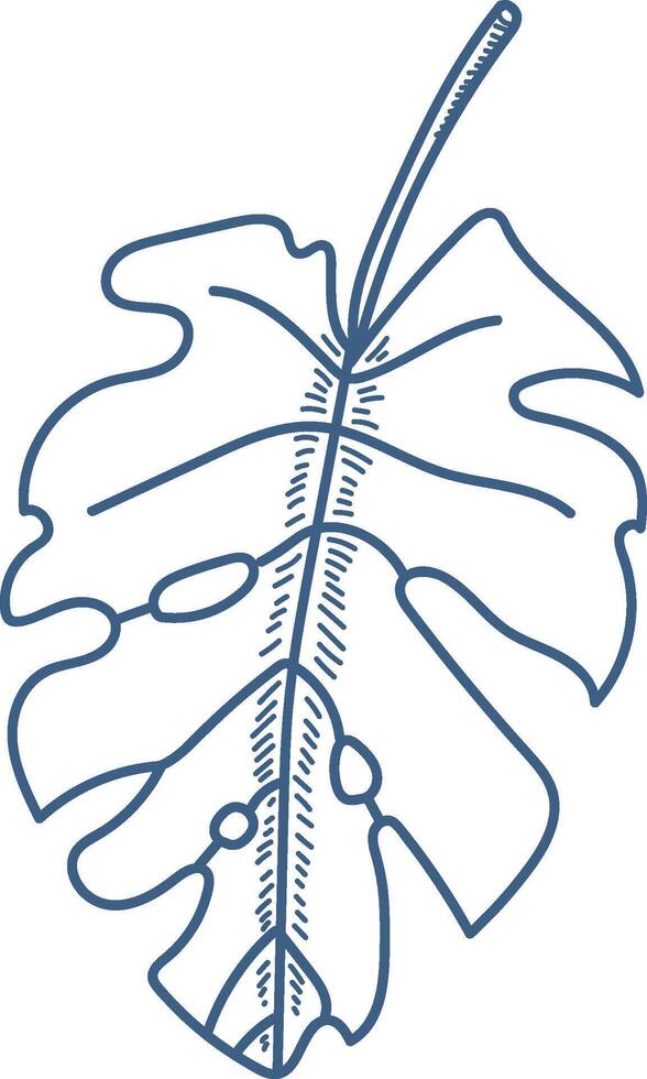 Tropical Leaf Sketch Botanical vector