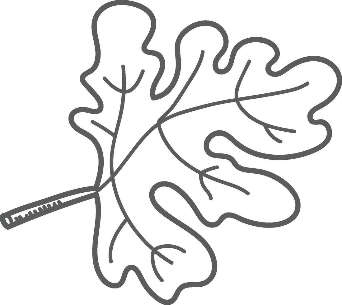 Oak Leaf Line Drawing vector