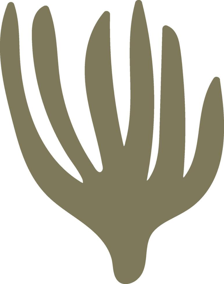 Abstract Seaweed Shape vector