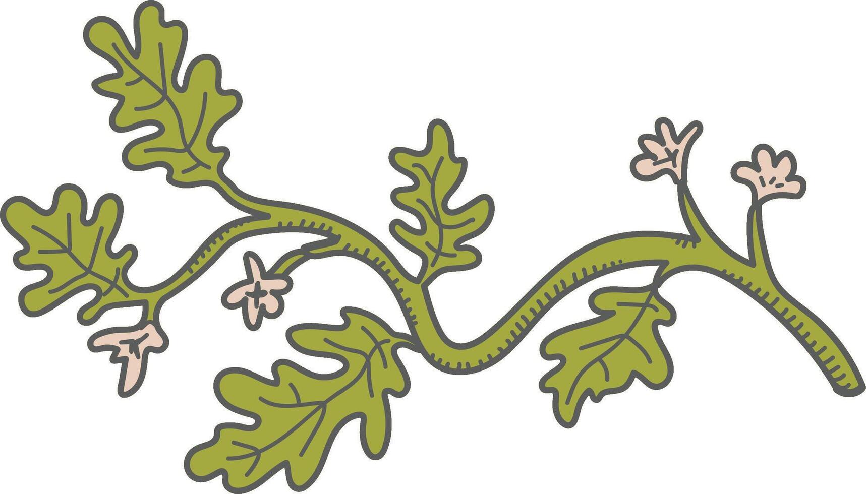 Watermelon Leafy Branch with Small Flowers vector