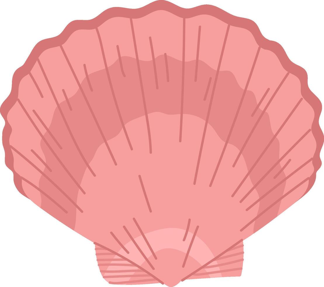 Scallop Shell Coastal Artwork vector