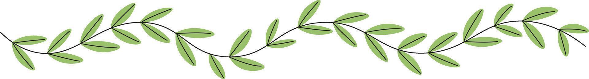 Leaf Branch Border vector
