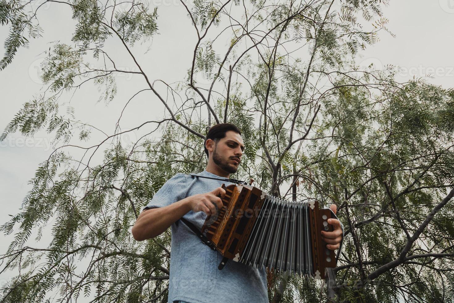 Tree As Background For An Italian Accordion Player photo