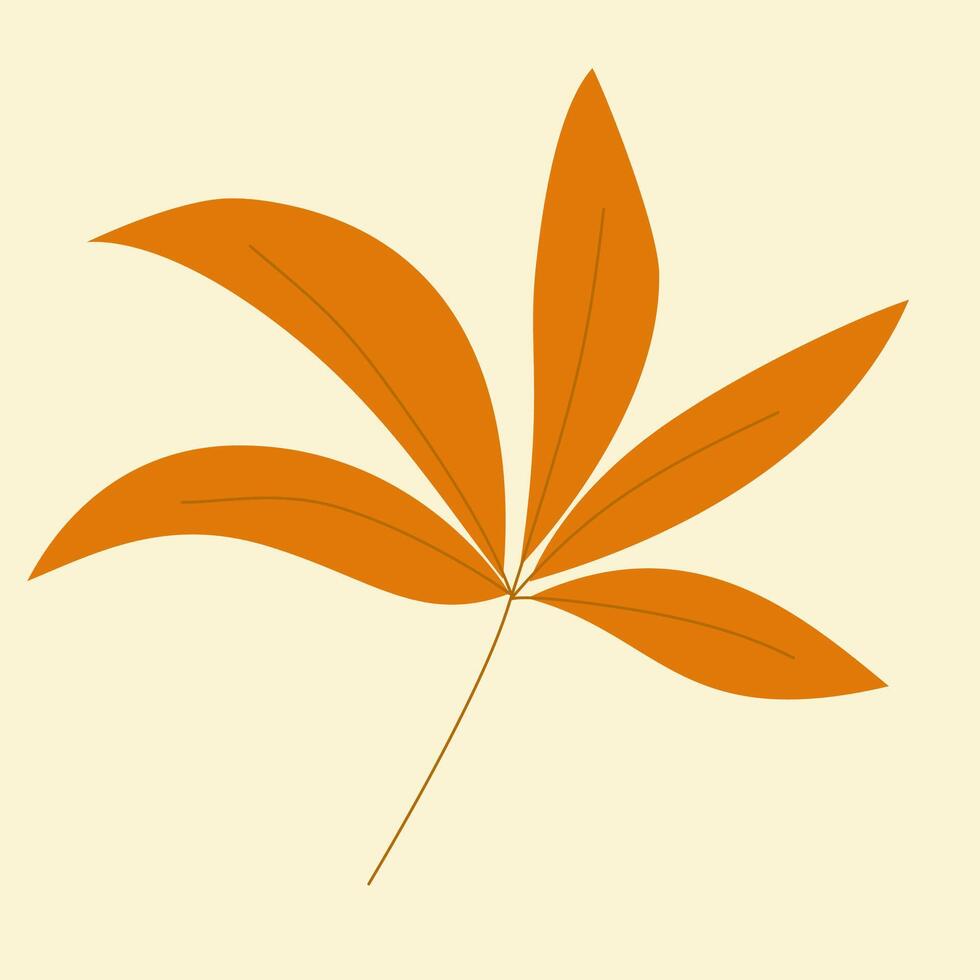 Leaves autumn design illustration vector