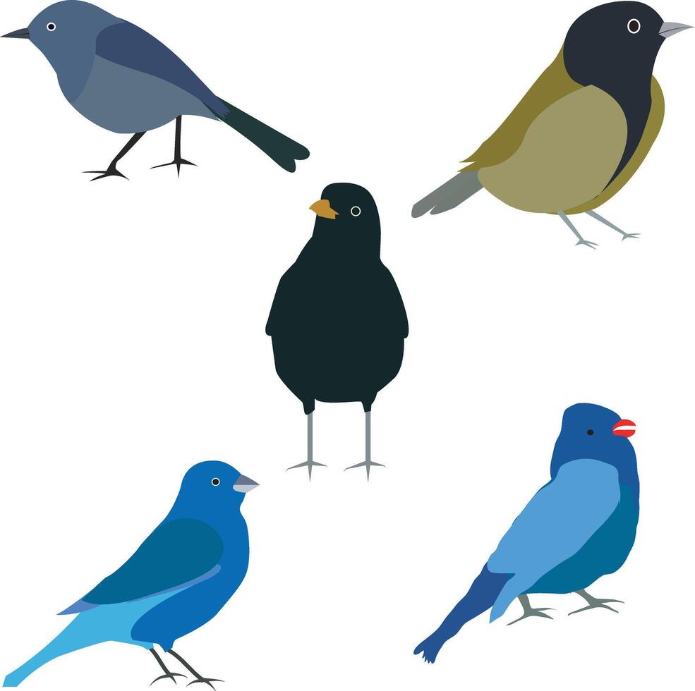 Collection of Stylized Bird Illustrations vector
