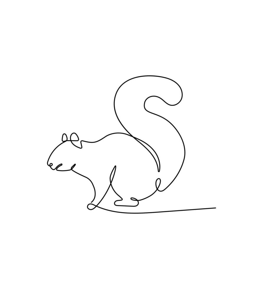 Squirrel continuous one line drawing on a white isolated background. vector