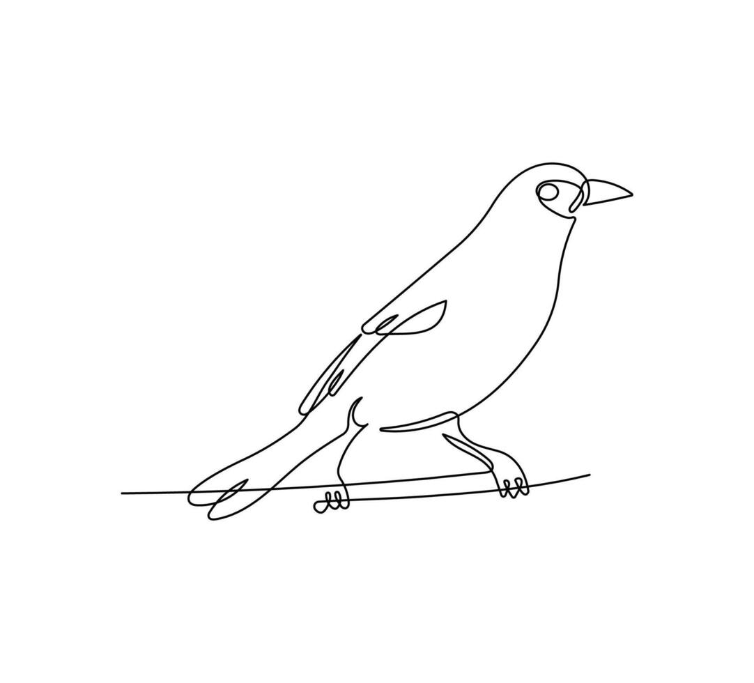 bird in continuous line art drawing style. Animal minimalist black linear sketch isolated on white background. vector