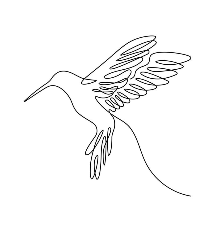 Hummingbird continuous one line drawing on a white isolated background... vector