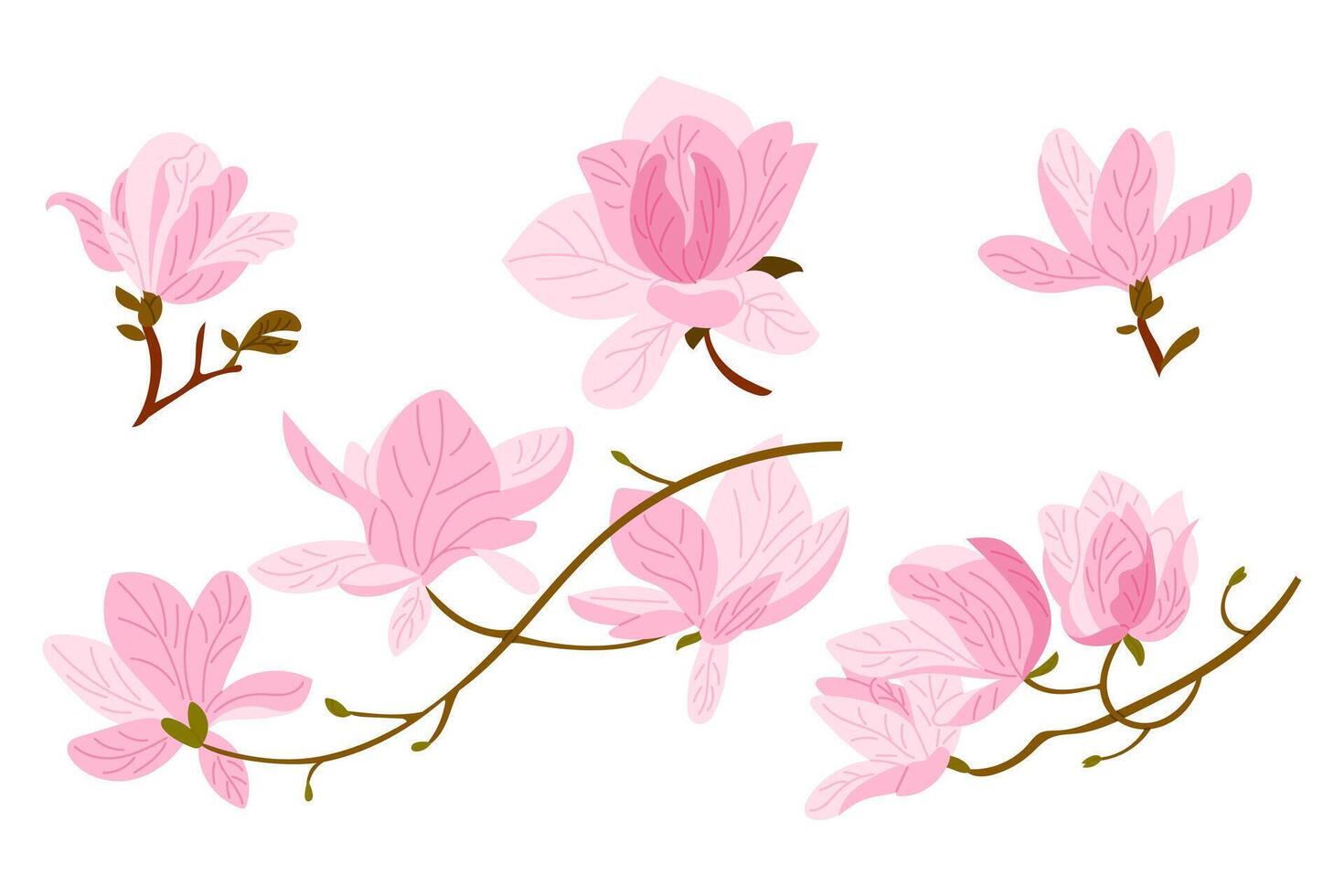Hand drawn set of blooming pink magnolia flowers and branches on white background. Concept of springtime, floral elegance and natural beauty in soft botanical illustration vector