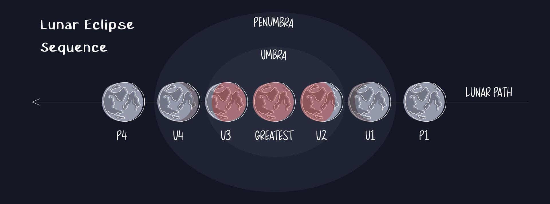 Infographic of lunar eclipse stages in flat style on dark background. Moon's direction of motion, umber and penumbra. Blood moon phases. Earth shadow in contact with the moon vector