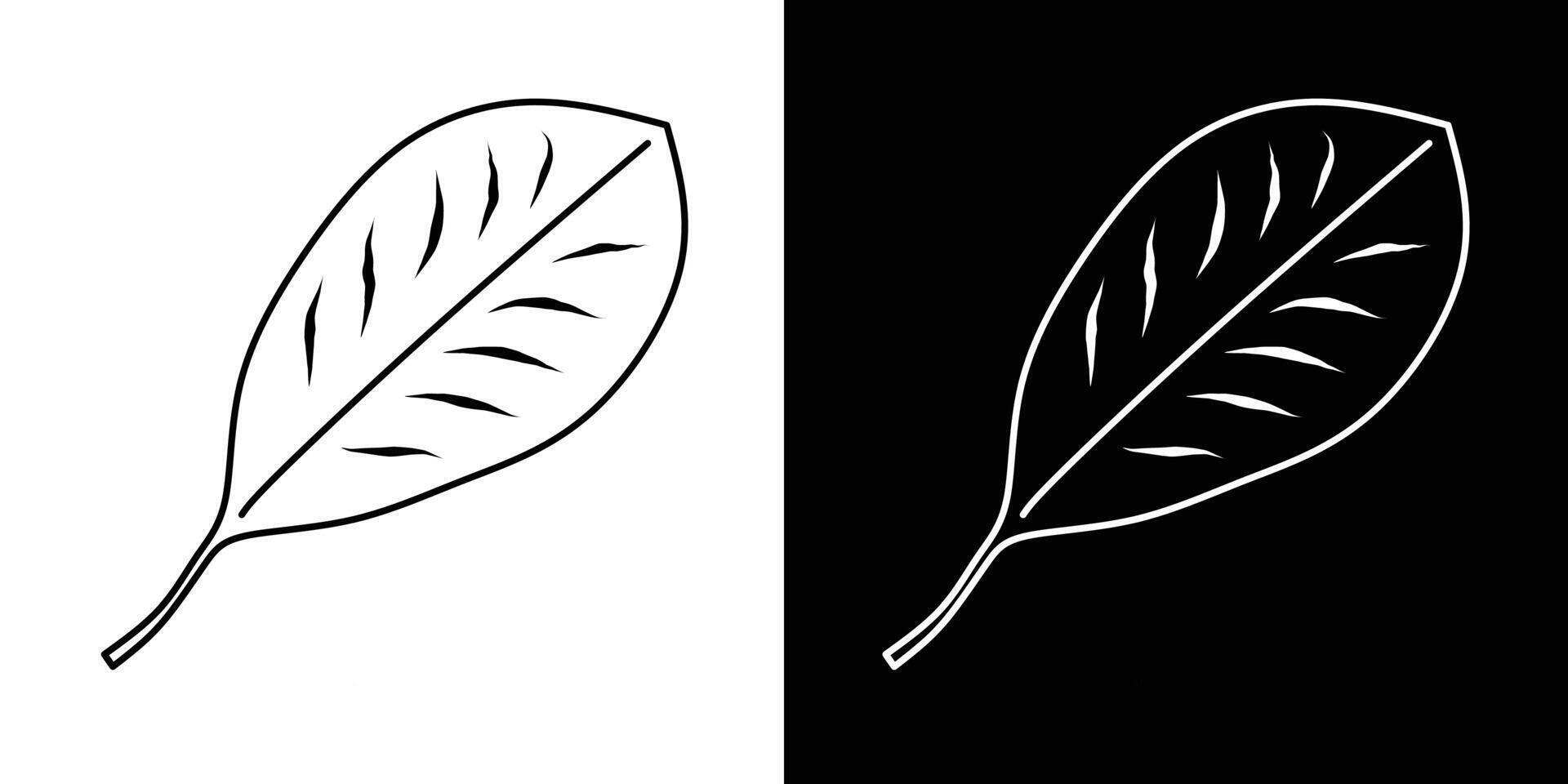 Leaf icon in black and white. Simple botanical illustration with central vein and side venation. vector