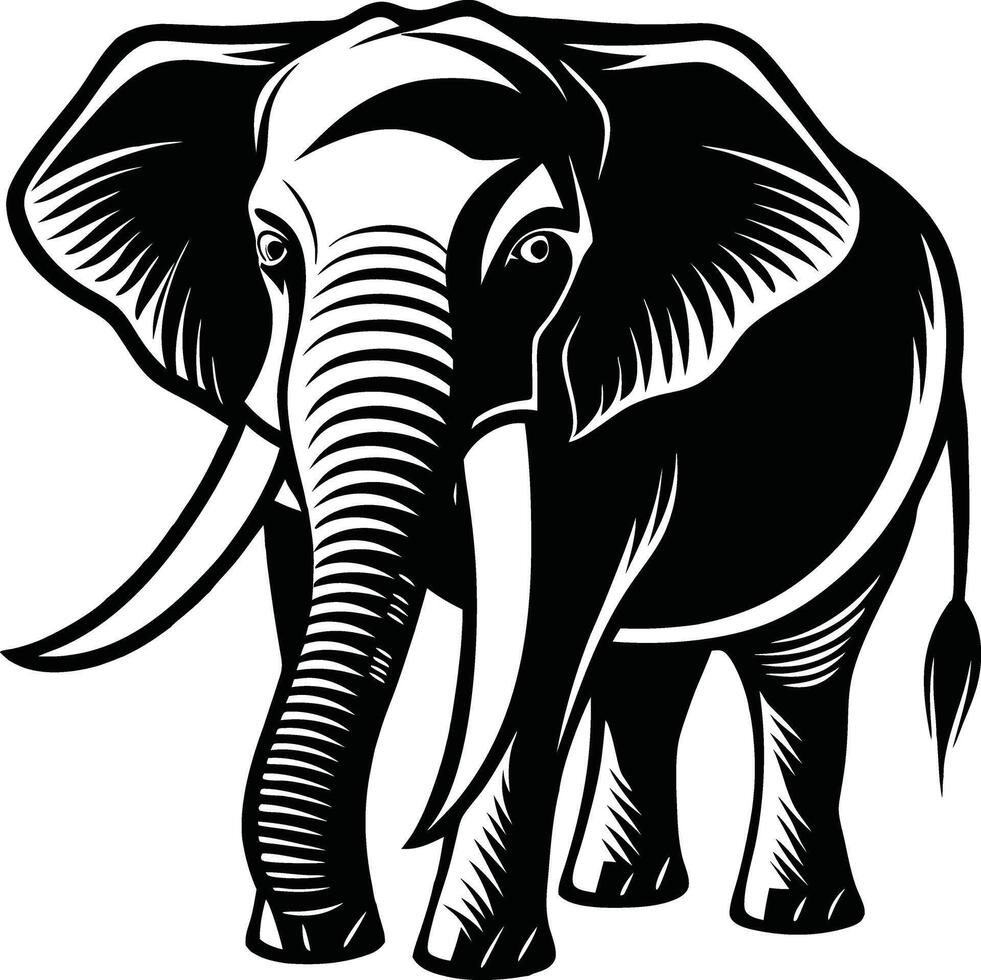 An elephant is standing in front of a white background vector