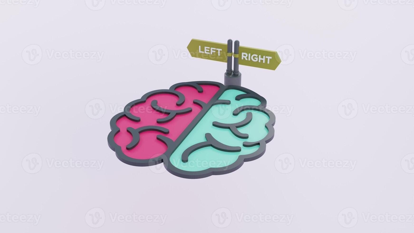 Left Brain vs Right Brain - 3D Concept Illustration with Directional Sign photo