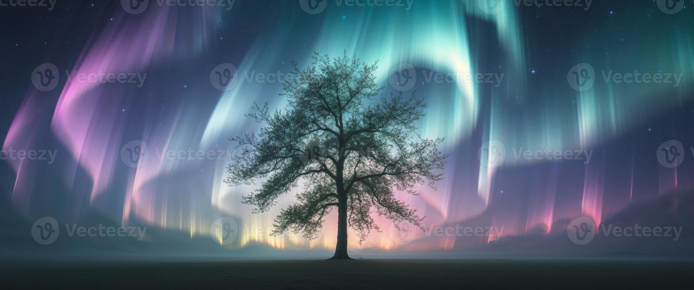 Aurora borealis, tree, night, aurora, tree, night, aurora bore photo