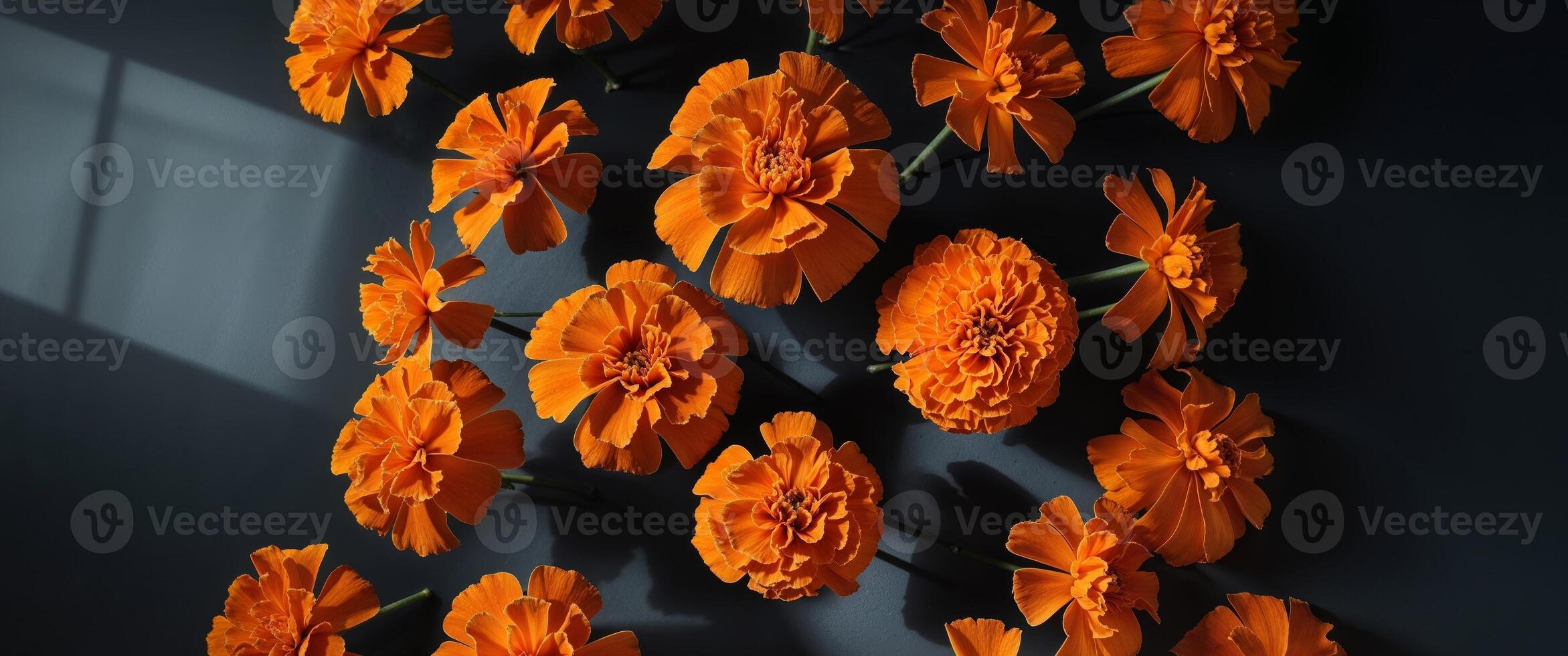 Orange Marigolds Arranged on Black Background photo