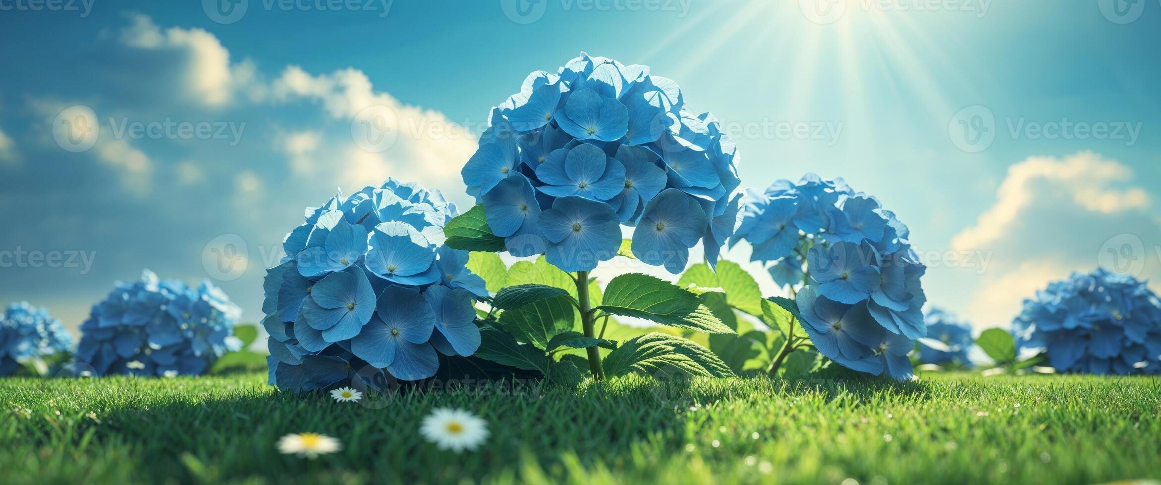 Blue flowers in the grass with sun shining in the background photo