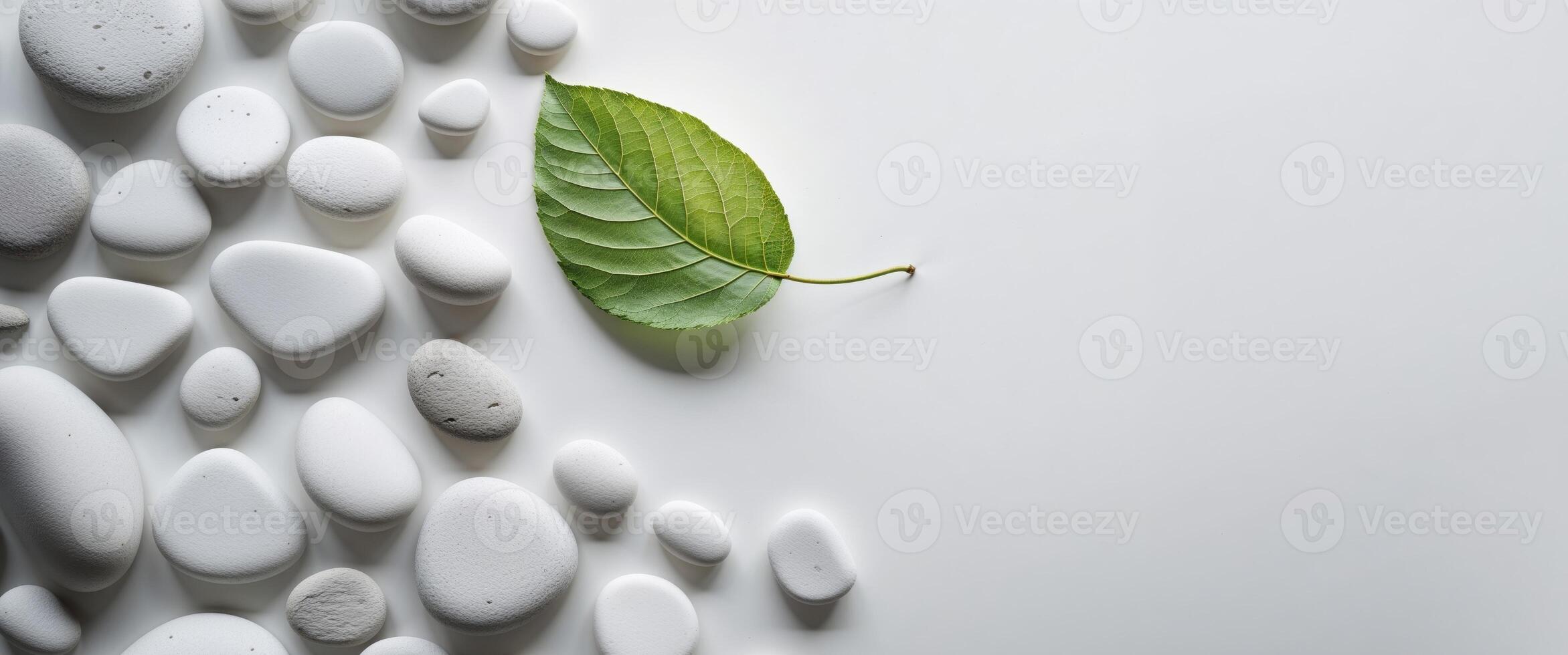 Green Leaf Resting on White Stones Background. photo