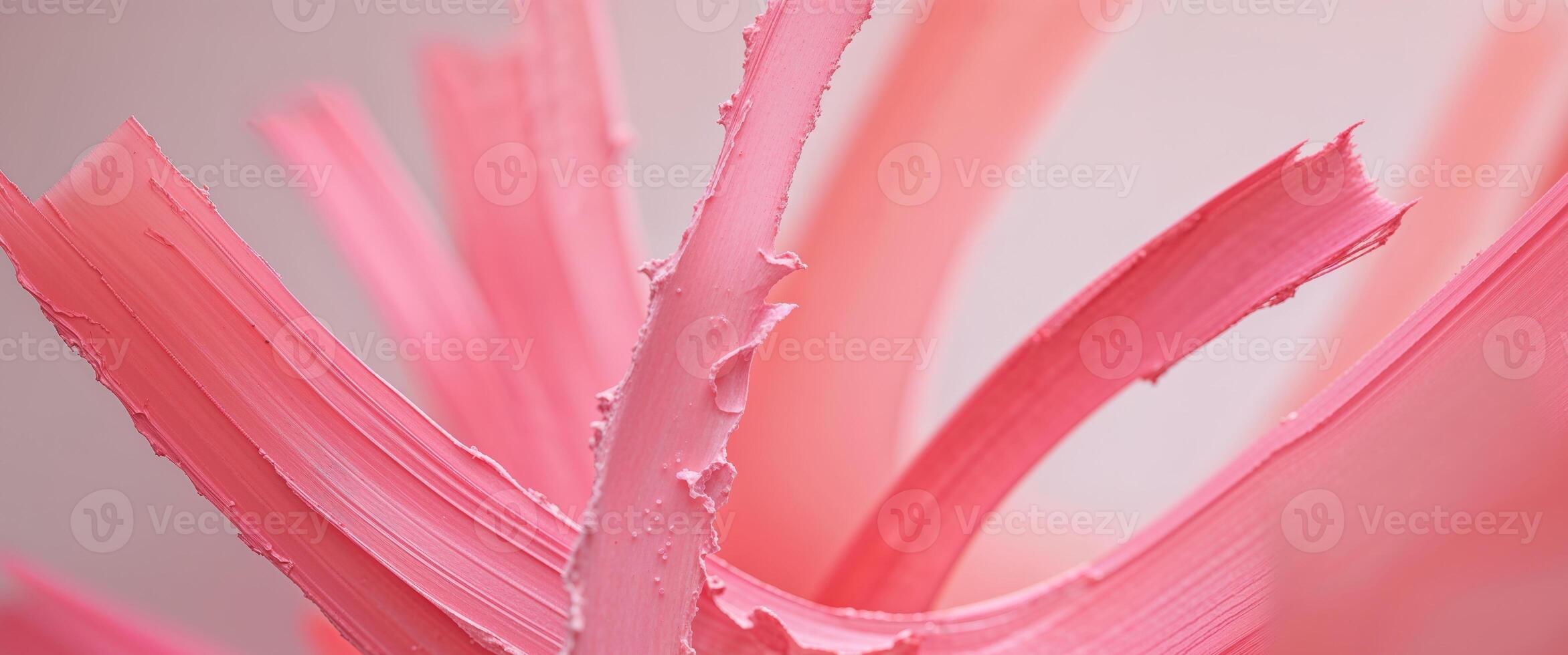 Colorful Abstract Brush Strokes in Soft Pink and Coral Tones. photo