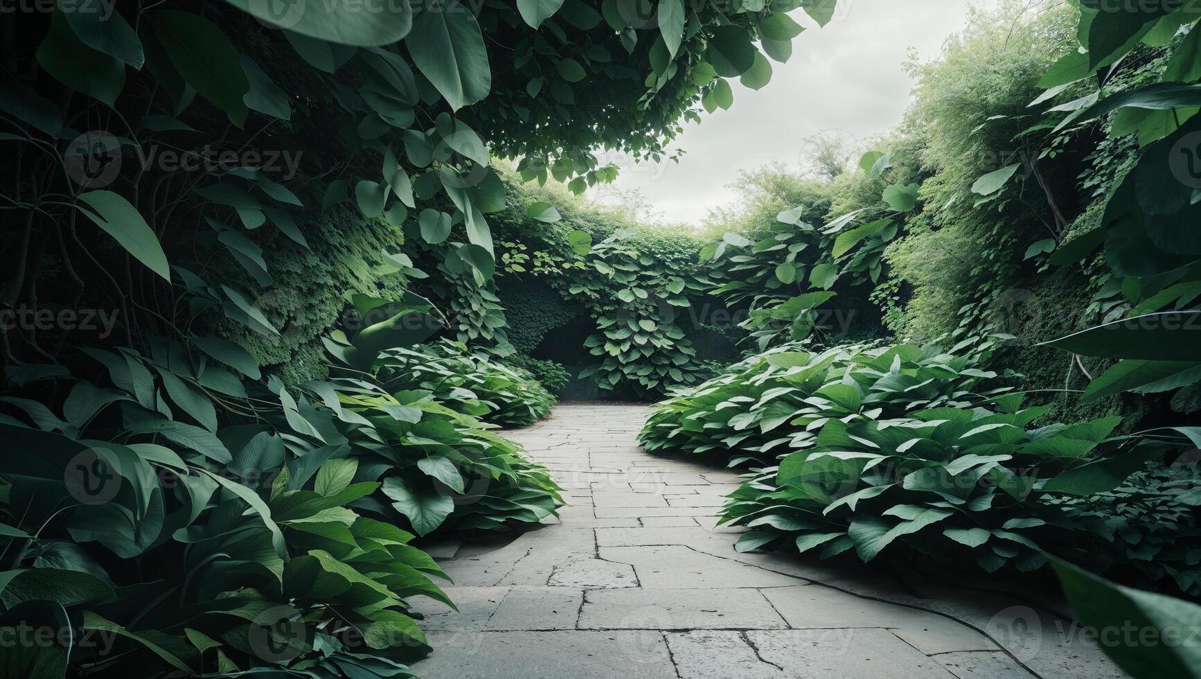 A path through a lush green garden with plants photo