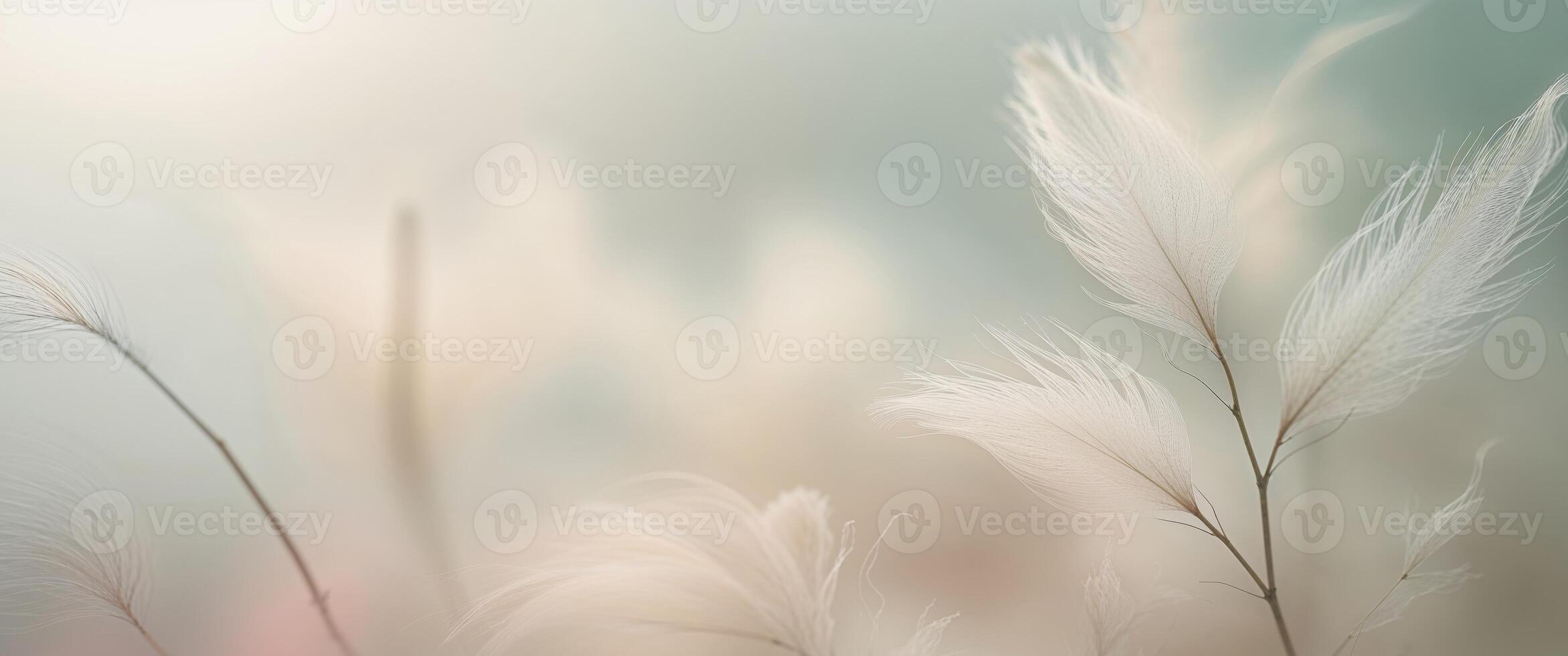 Soft focus abstract botanical background photo