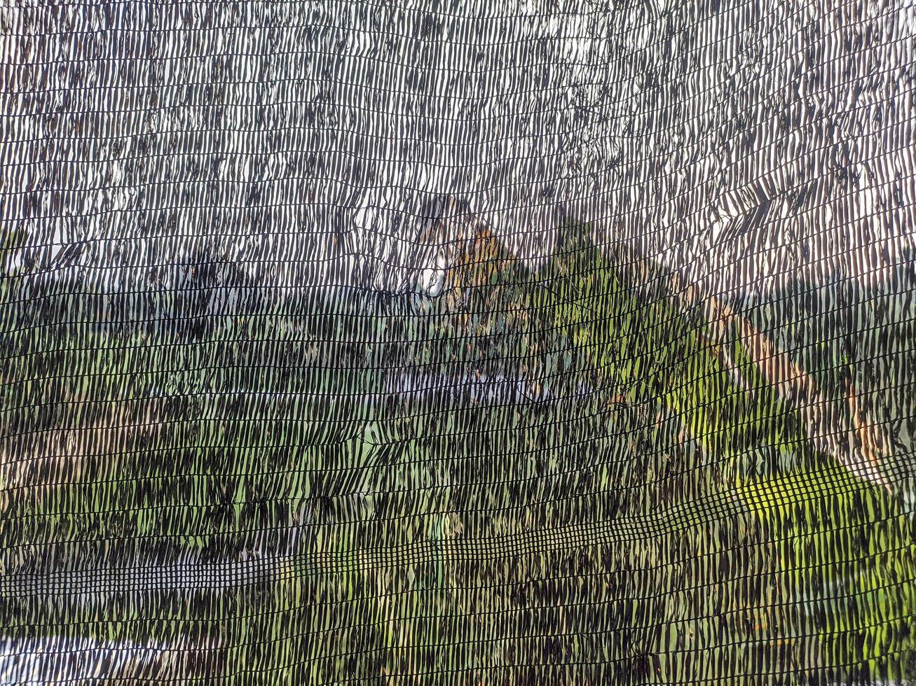 Abstract View Through a Paranet Net Reflecting Greenery and Sky photo