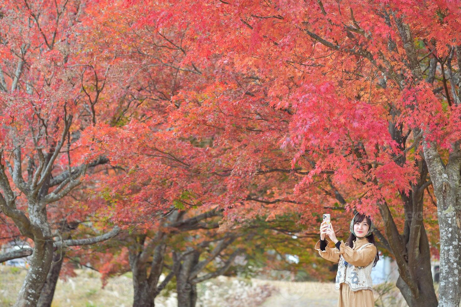 Southeast asian woman joyfully takes selfie under vibrant red autumn leaves in peaceful outdoor setting filled with colorful trees and natural beauty photo