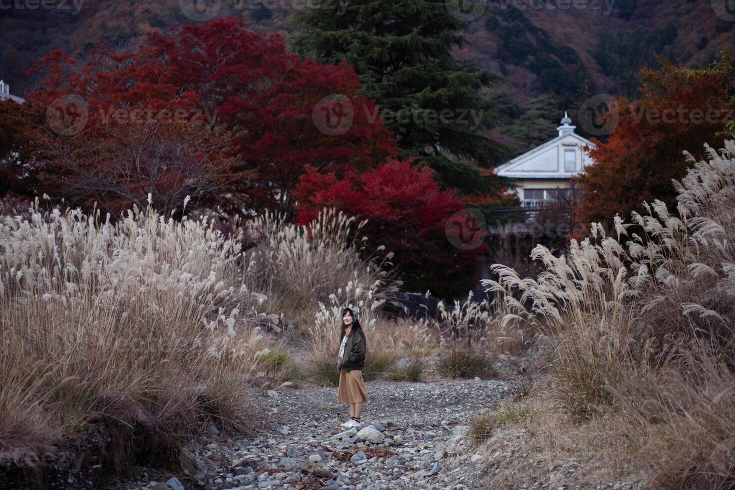 Southeast asian woman stands on rocky path surrounded by tall dry grass and vibrant red autumn trees with traditional building and mountain in background creating peaceful scene photo