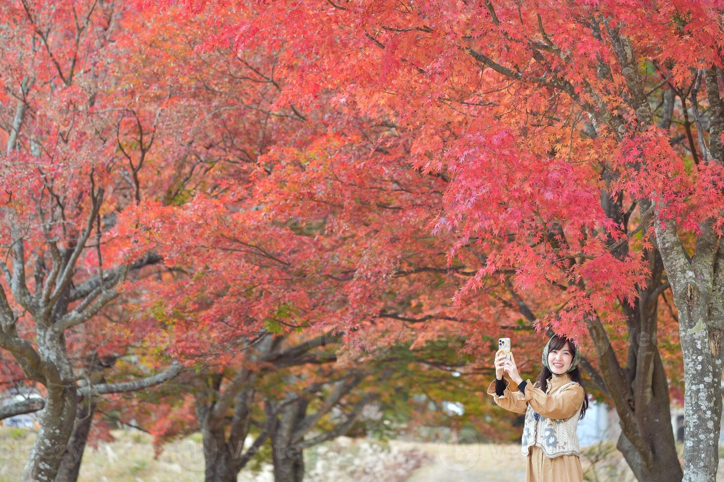 Southeast asian woman happily takes selfie under vibrant red autumn leaves in peaceful outdoor setting filled with colorful trees and natural beauty photo