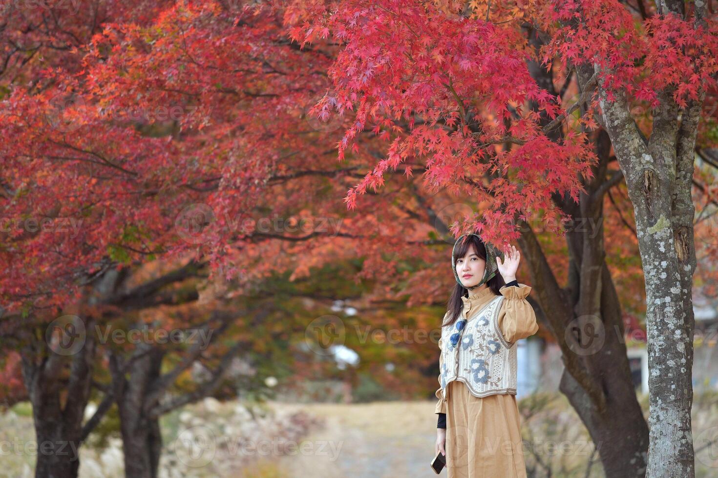 Southeast asian woman stands under vibrant red autumn leaves on tree in peaceful outdoor setting wearing beige dress and knitted vest expressing calm and serene mood photo