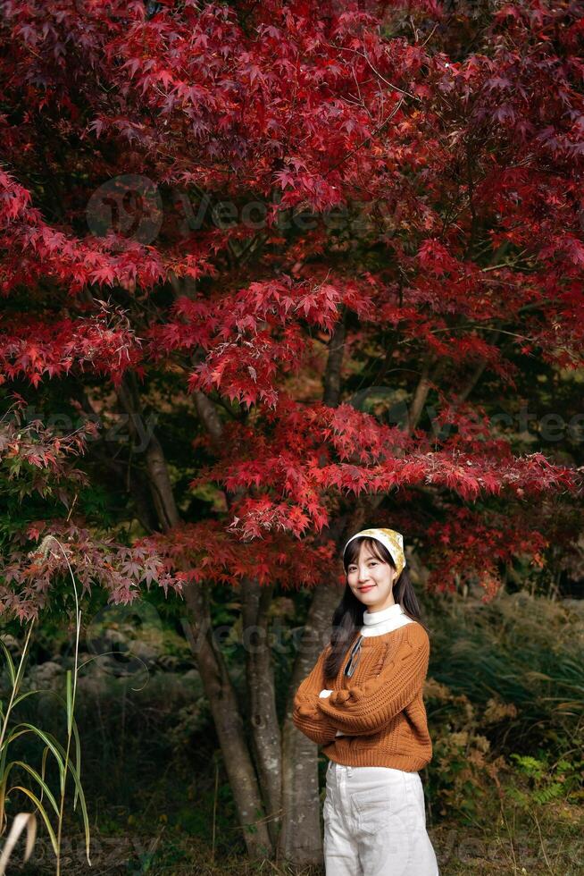 Southeast asian woman stands smiling under vibrant red autumn leaves wearing brown sweater and white pants enjoying peaceful outdoor nature scene in fall season photo