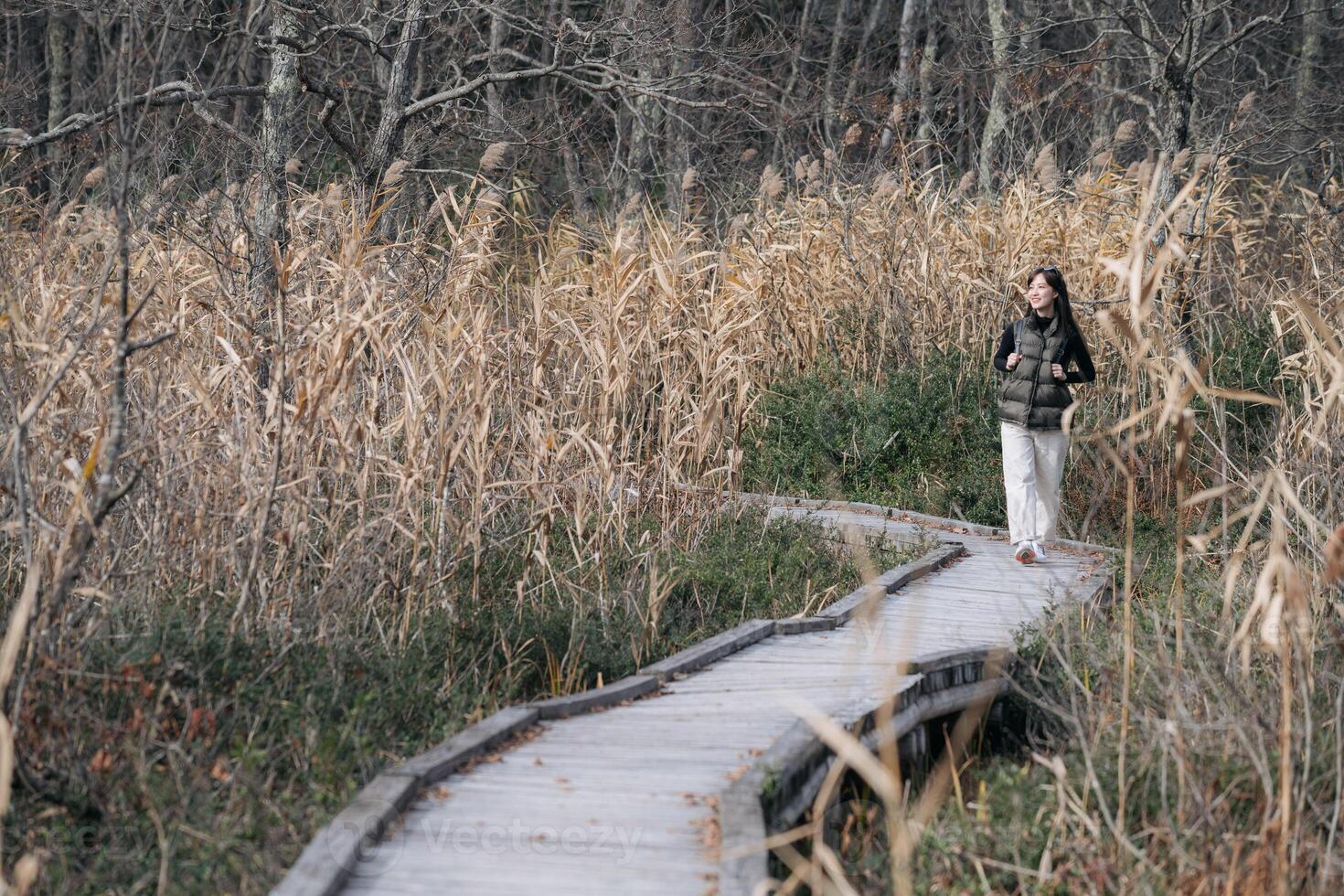 Southeast asian woman enjoys travel concept walking on wooden path through dry grass and bare trees in peaceful natural setting with calm and reflective mood photo