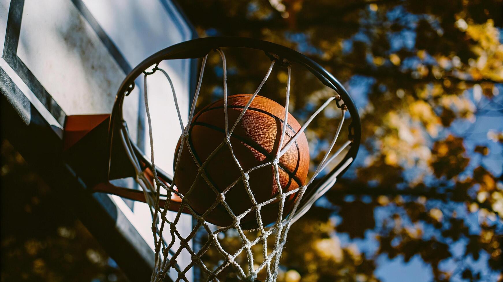 A basketball going through a net with a backdrop of trees and a blue sky outside photo