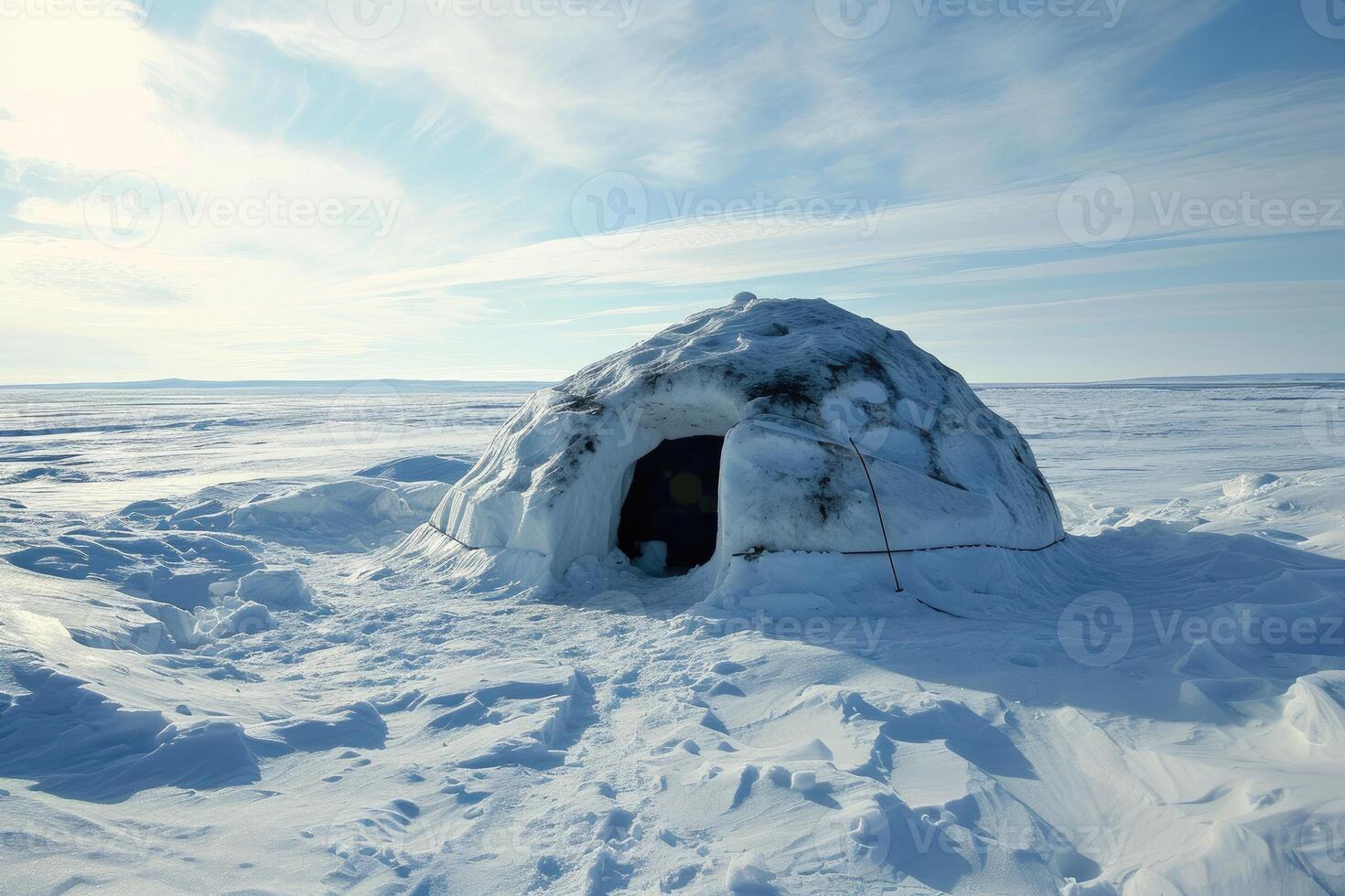 A traditional igloo nestled in a snow-blanketed forest under shimmering northern lights. photo