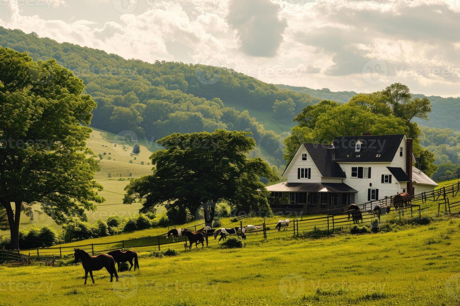 The quiet beauty of autumn surrounds a farmhouse with wraparound porch while horses graze beneath fiery treetops photo