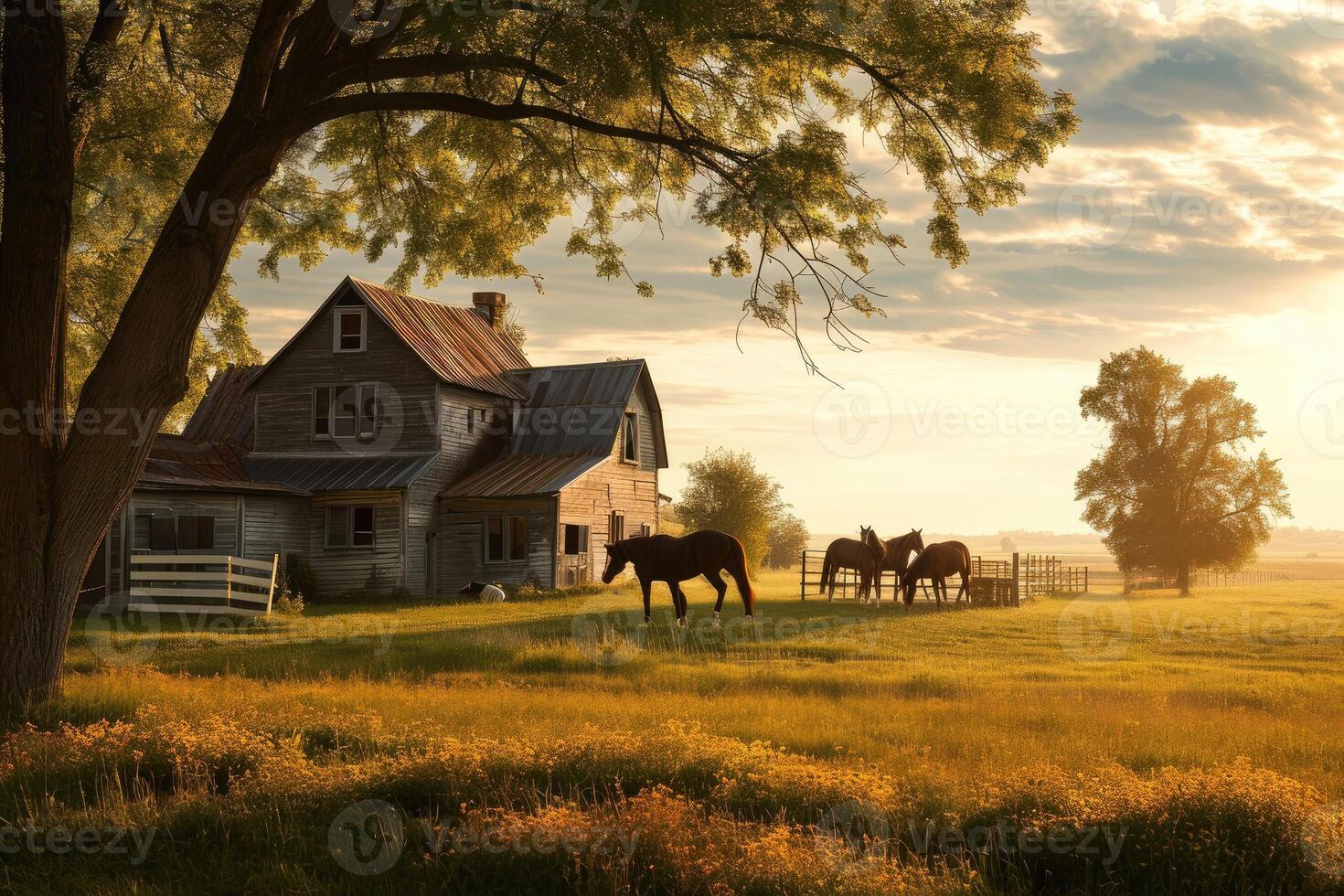 In the soft glow of fall sunlight a white farmhouse rests among rolling hills with red and orange trees and horses dotting the pasture photo