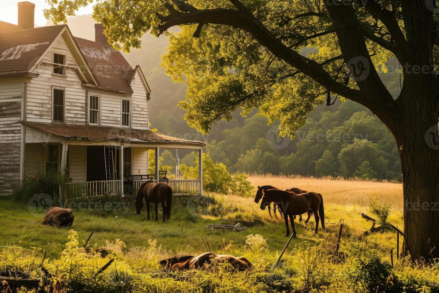This peaceful rural setting features a cozy farmhouse nestled in brilliant fall foliage and horses enjoying the quiet morning photo