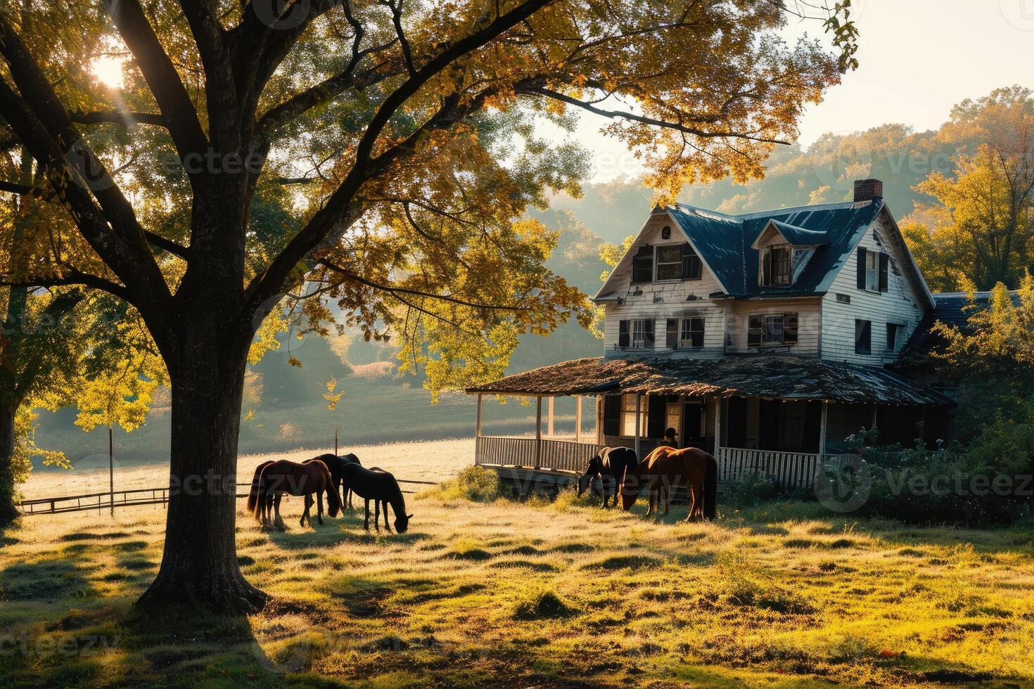 Sunlight filters through golden trees onto a field where a classic farmhouse and horses create a picture of rural simplicity photo