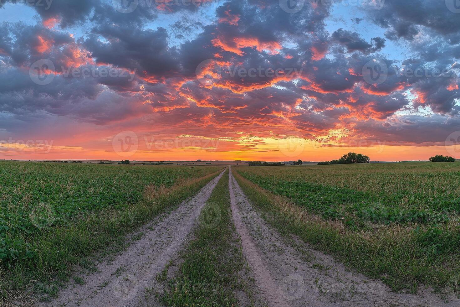 Sunset Over Farmland With Clouded Sky and Dirt Road, Capturing Serene Rural Landscape in Evening Light photo