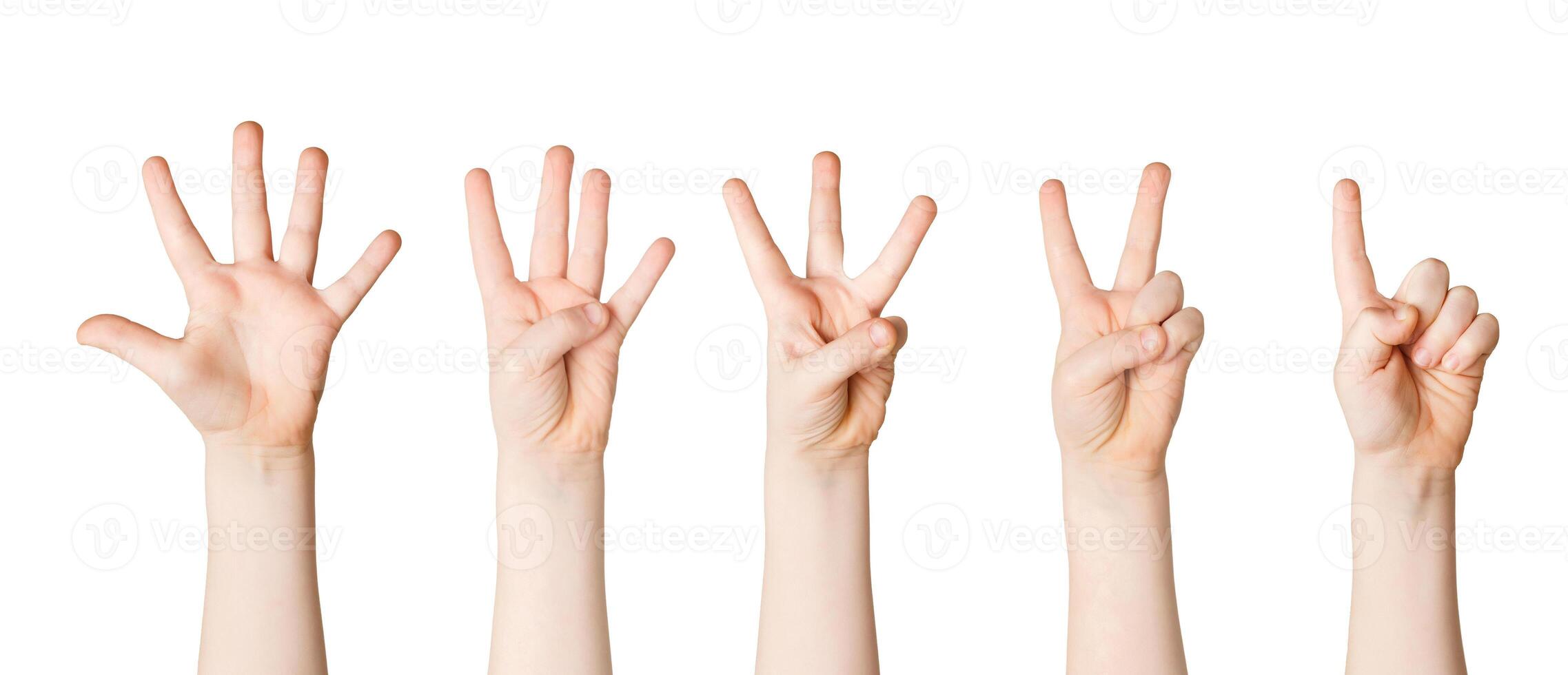 Set of child hands showing figures, count one, two, three, four, five. Isolated at white background photo