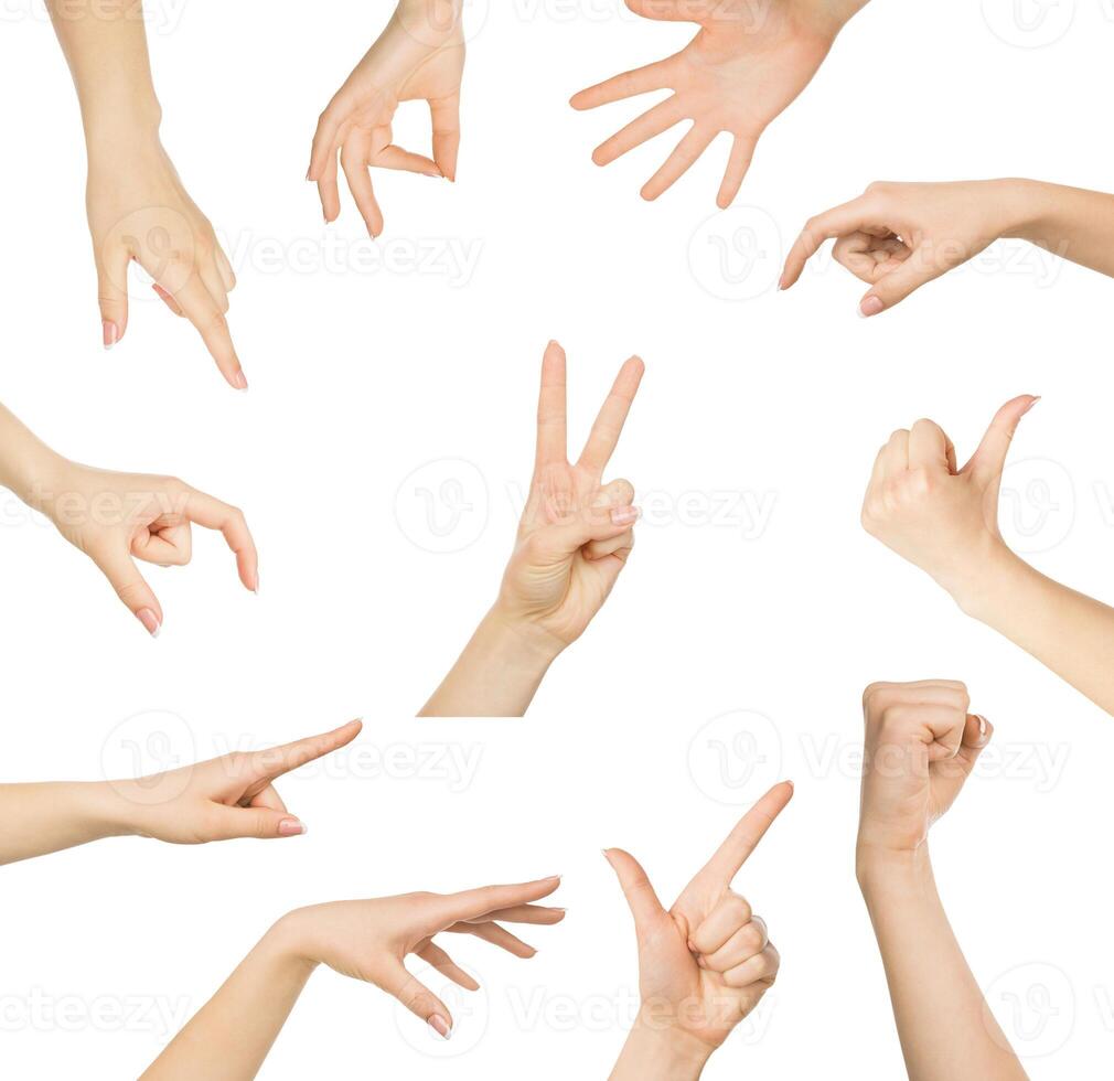 Various hands gestures and signs collection isolated on white background. Collage of multiple shots photo