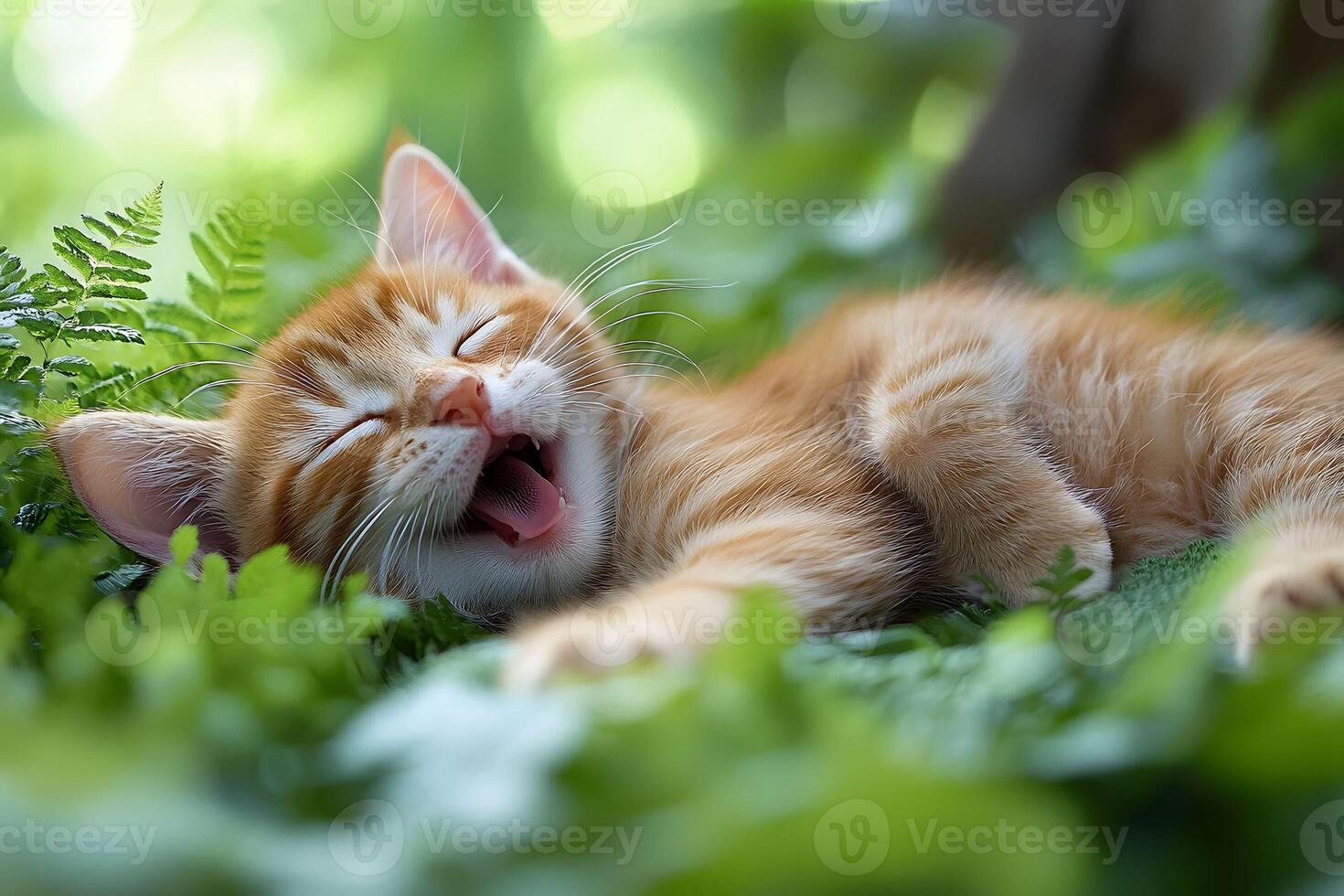 Adorable Ginger Kitten Sleeping Peacefully in Lush Greenery for Nature and Pet-Themed Design photo