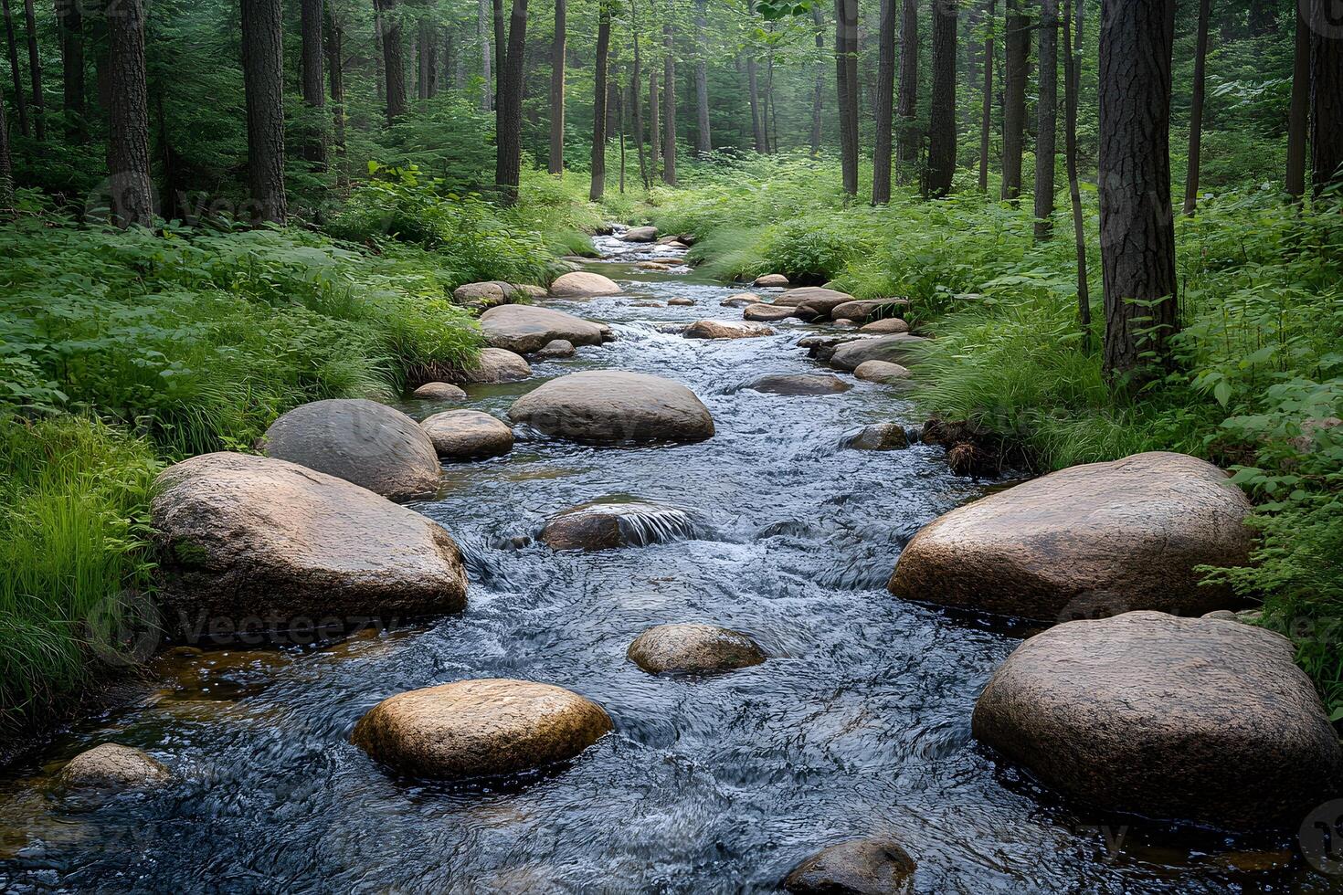 Serene Woodland Stream Flowing Through Lush Forest for Nature and Relaxation Themes photo