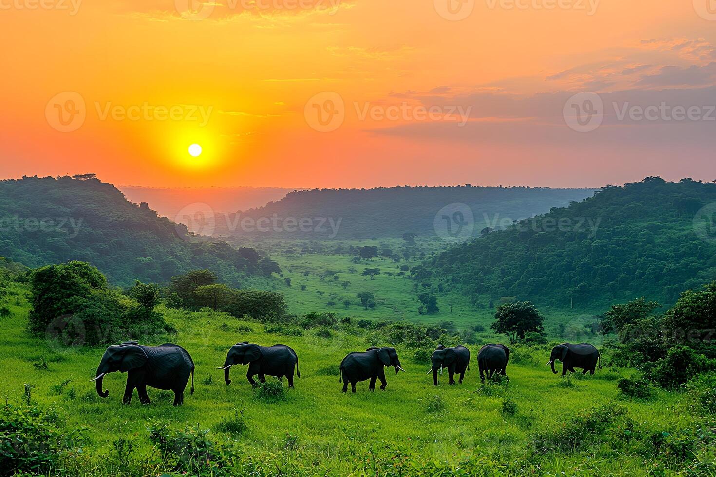 Majestic Elephants at Sunset in a Serene African Valley Landscape photo
