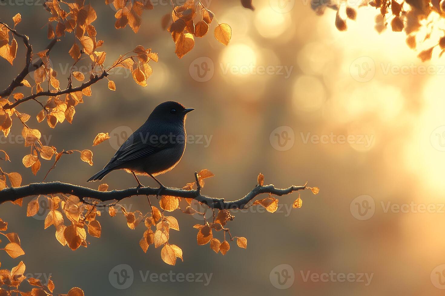 Autumn Bird Perched on a Branch at Sunrise - Nature's Tranquility and Beauty photo