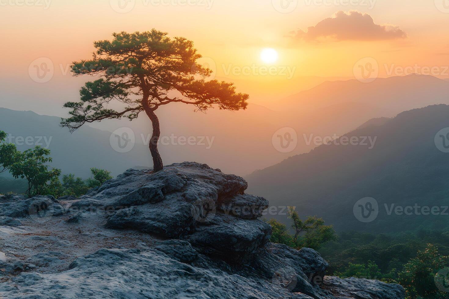 Serene Sunrise over Mountain Landscape with Lone Tree and Misty Valleys photo