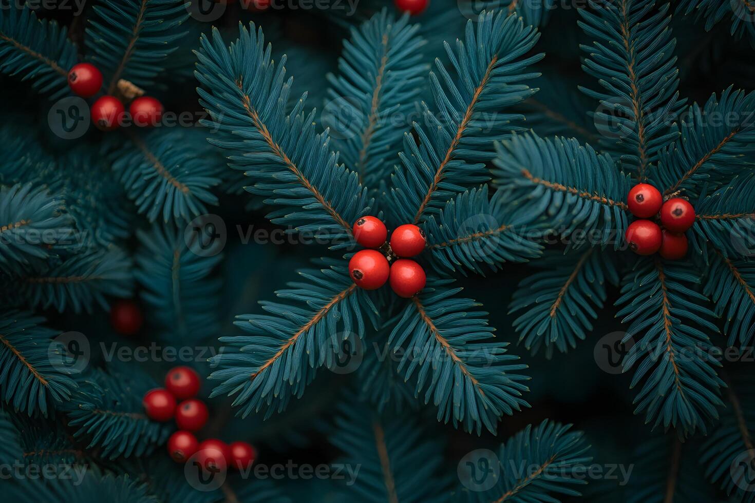 Festive Holiday Evergreen Spruce with Vibrant Red Berries - Nature Background for Christmas Design photo